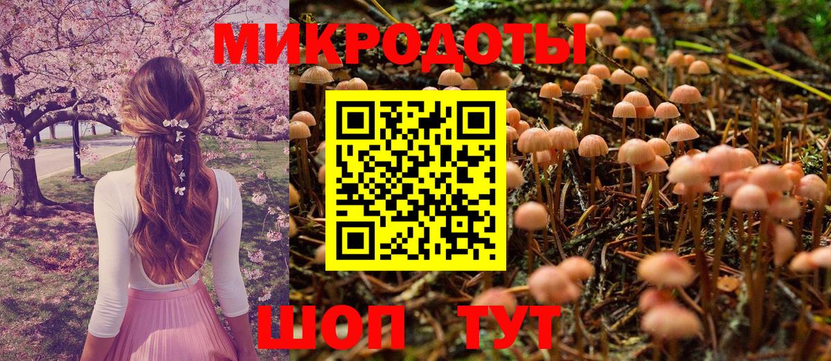Галлюциногенные грибы мухоморы Новороссийск